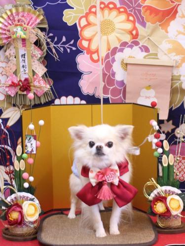 20240116りゅうくん